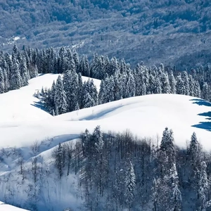 猎奇小屋(破解版)免广告2024
