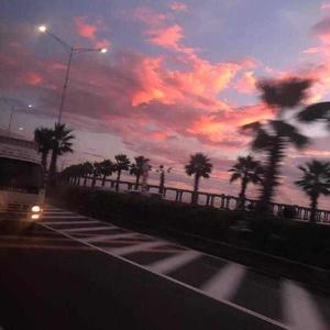 猎奇小屋(破解版)免广告2024
