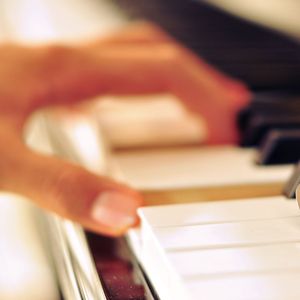 猎奇小屋(破解版)免广告2024
